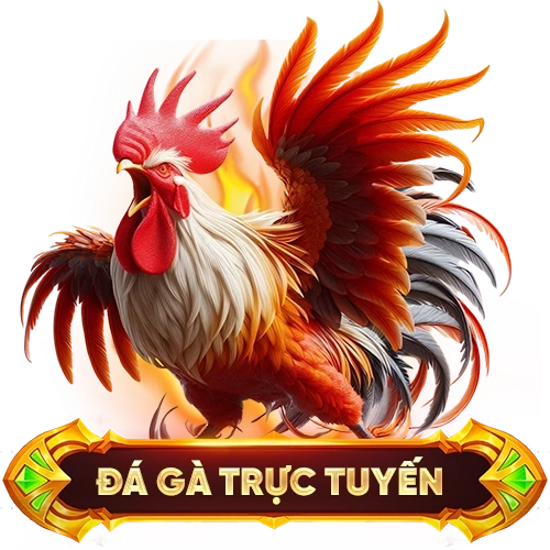 đá gà trực tuyến BK8